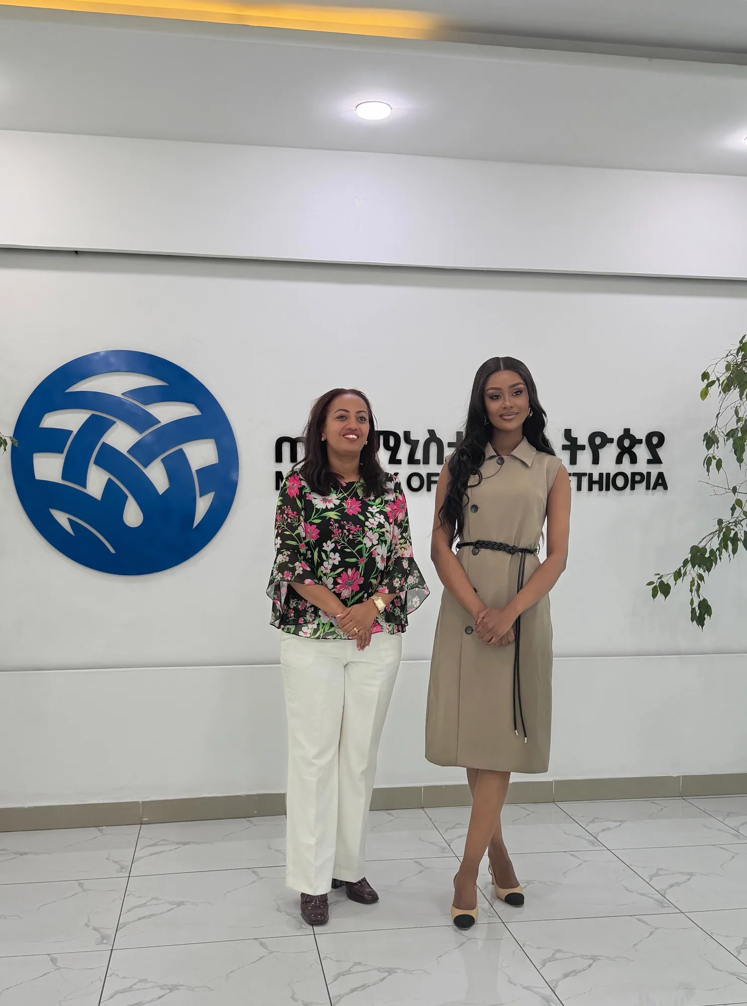 Birara founder meeting a representative at the Ministry of Transport and Logistics of Ethiopia