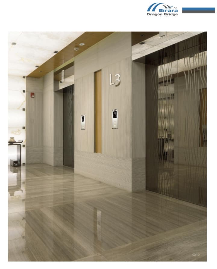 Passenger Elevators