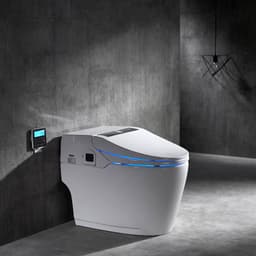 Toilet related image 2
